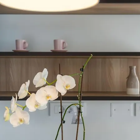 Marcante - Designer, Romantic Pool View * Porec