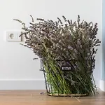 Marcante - Designer, Romantic Pool View *