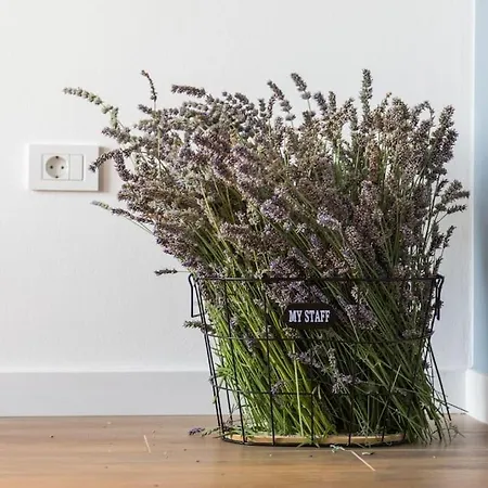 Marcante - Designer, Romantic Pool View *